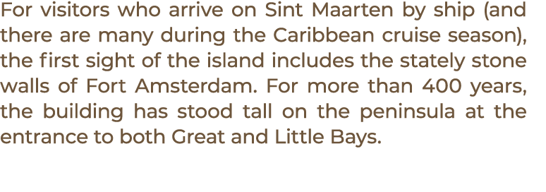 For visitors who arrive on Sint Maarten by ship (and there are many during the Caribbean cruise season), the first si...