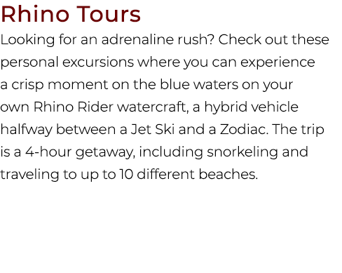 Rhino Tours Looking for an adrenaline rush? Check out these personal excursions where you can experience a crisp mome...
