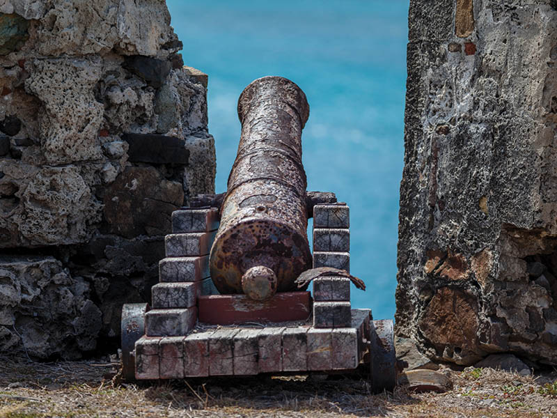 © Thierry Dehove Photography All rights reserved This image, or derivative works, can not be used, published, distributed or sold without written permission of the owner. http://www.thierrydehove.com