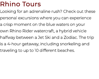 Rhino Tours Looking for an adrenaline rush? Check out these personal excursions where you can experience a crisp mome...