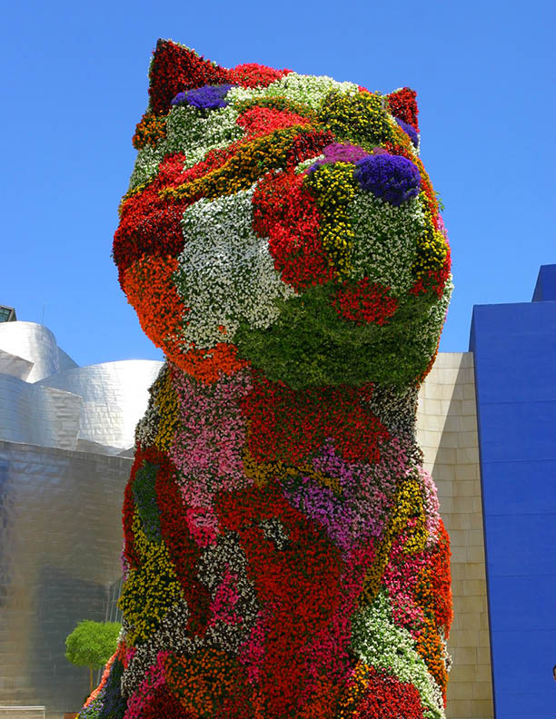 Flower dog from Bibao, Spain