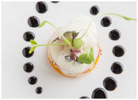 Molecular high end gastronomy kitchen. HIghend culinary
