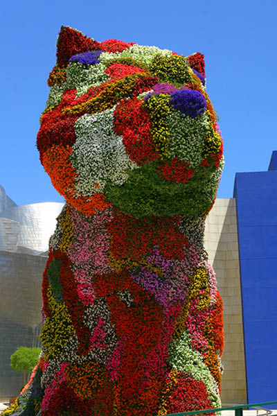 Flower dog from Bibao, Spain
