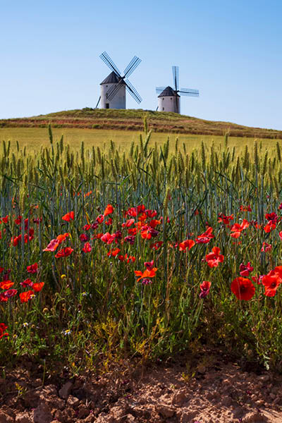 Castilla-La Mancha, a region in central Spain, southeast of Madrid. The setting of 17th-century novel “Don Quixote" by Miguel de Cervantes, encompasses plains with vineyards, castles and windmills. 