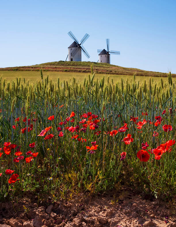 Castilla-La Mancha, a region in central Spain, southeast of Madrid. The setting of 17th-century novel “Don Quixote" by Miguel de Cervantes, encompasses plains with vineyards, castles and windmills. 