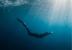 September 10, 2020. Anapa, Russia. Professional freediver in wetsuit with mono fin underwater in transparent sea. Freediving in Black sea