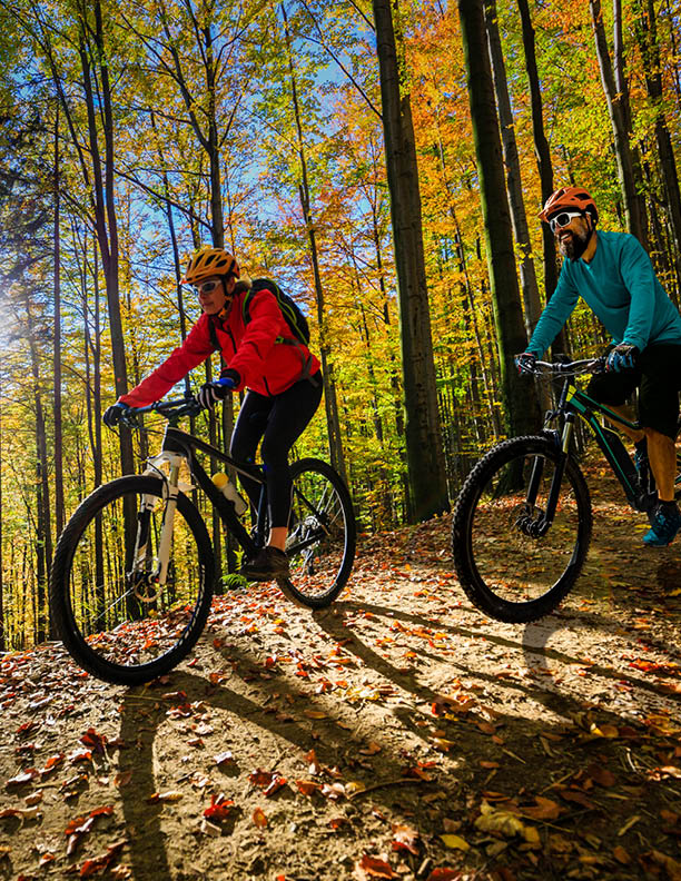 Cycling woman and men riding on bikes at sunset mountains forest landscape. Couple cycling MTB enduro flow trail track. Outdoor sport activity.
