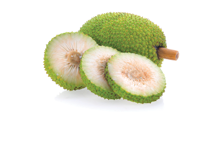 breadfruit isolated on white background