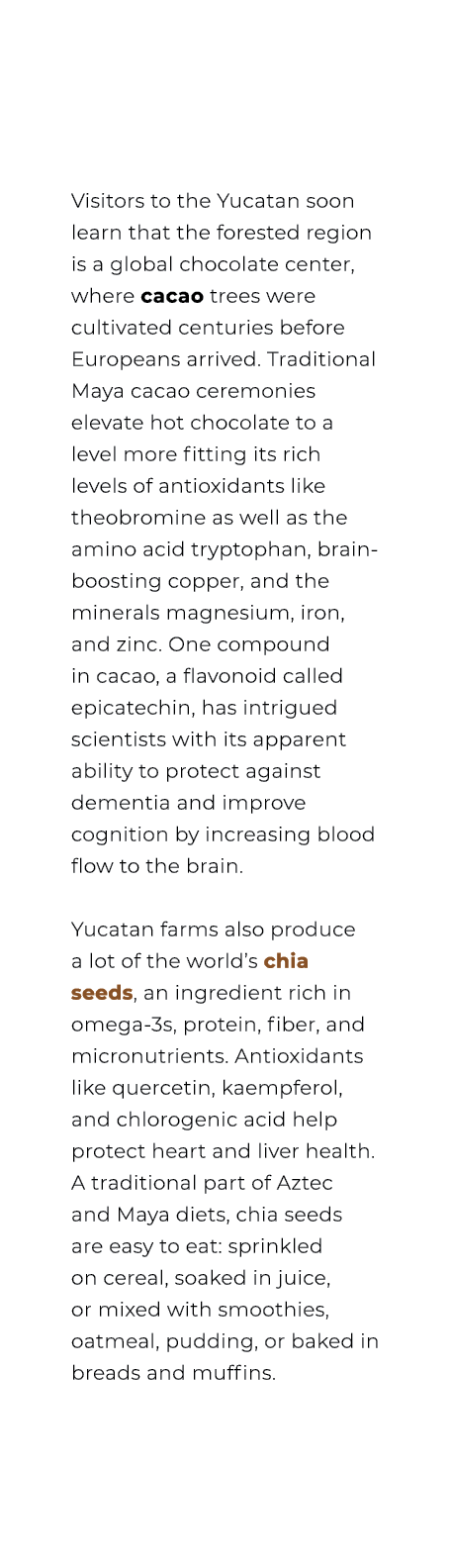 Visitors to the Yucatan soon learn that the forested region is a global chocolate center, where cacao trees were cult...