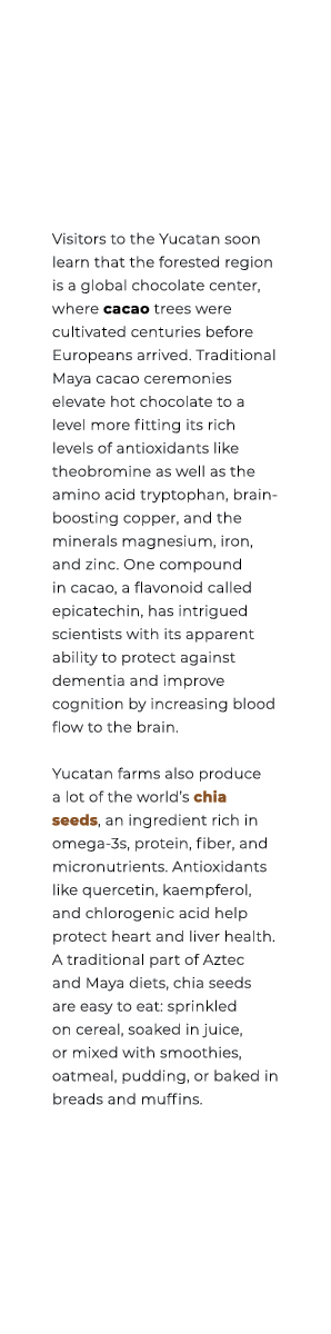 Visitors to the Yucatan soon learn that the forested region is a global chocolate center, where cacao trees were cult...