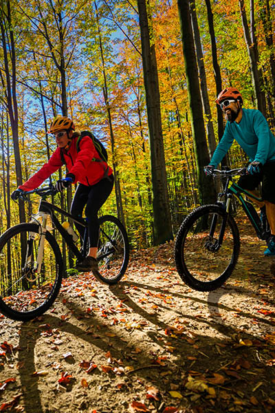 Cycling woman and men riding on bikes at sunset mountains forest landscape. Couple cycling MTB enduro flow trail track. Outdoor sport activity.