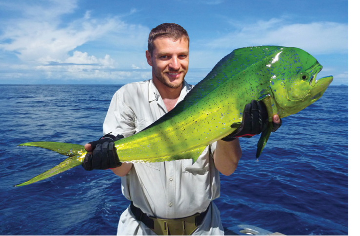 Sea fishing, catch of fish. Fisherman holding a dolphin fish