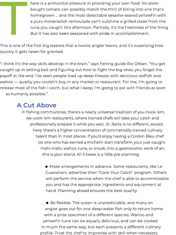 There is a primordial pleasure in providing your own food. No store bought tomato can possibly match the thrill of bi...