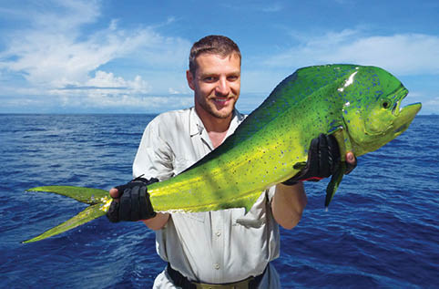 Sea fishing, catch of fish. Fisherman holding a dolphin fish