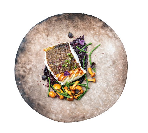 Gourmet fried European skrei cod fish filet with glasswort, fungi and algae as top view on a modern design plate with copy space