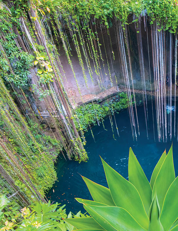 Ik-Kil Cenote - Lovely cenote in Yucatan Peninsulla with transparent waters and hanging roots. Chichen Itza, Mexico