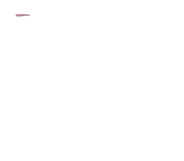 ¯