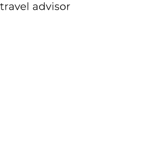 travel advisor