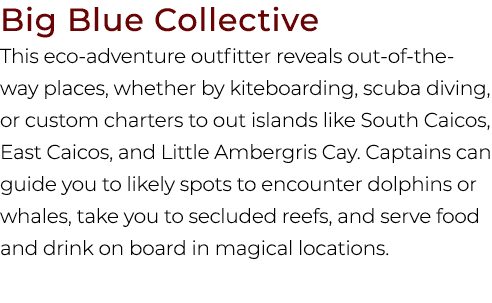 Big Blue Collective This eco adventure outfitter reveals out of the way places, whether by kiteboarding, scuba diving...