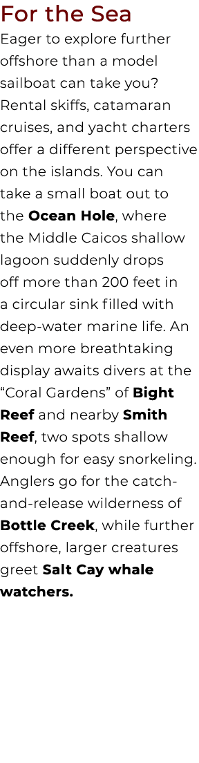 For the Sea Eager to explore further offshore than a model sailboat can take you? Rental skiffs, catamaran cruises, a...