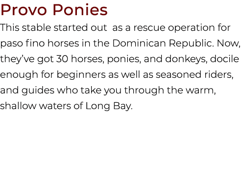 Provo Ponies This stable started out as a rescue operation for paso fino horses in the Dominican Republic. Now, they’...