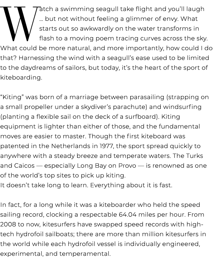 w atch a swimming seagull take flight and you’ll laugh … but not without feeling a glimmer of envy. What starts out s...