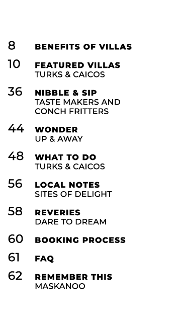 8 Benefits of Villas 10 Featured Villas Turks & Caicos 36 Nibble & Sip Taste Makers and Conch Fritters 44 Wonder Up &...