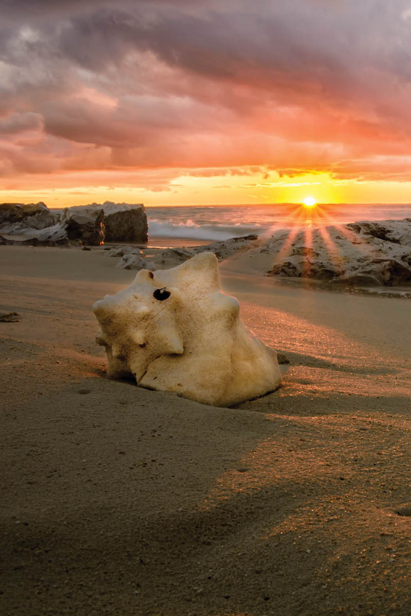Sunset at Leeward, Providenciales, Turks & Caicos Islands