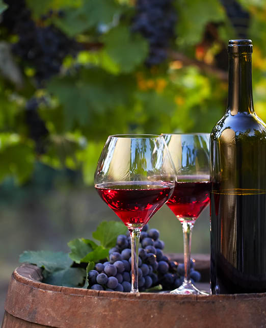 Two glasses of red wine and bottle in the vineyard