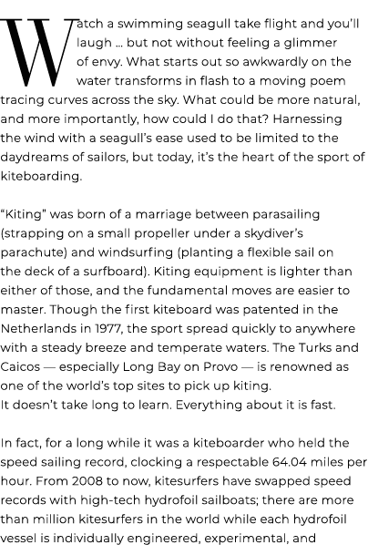 w atch a swimming seagull take flight and you’ll laugh … but not without feeling a glimmer of envy. What starts out s...