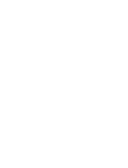 Today’s kites are remarkably easy to control … once you’ve got a feel for the wind direction. 