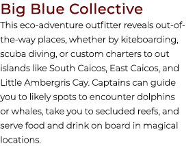 Big Blue Collective This eco adventure outfitter reveals out of the way places, whether by kiteboarding, scuba diving...