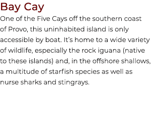 Bay Cay One of the Five Cays off the southern coast of Provo, this uninhabited island is only accessible by boat. It’...