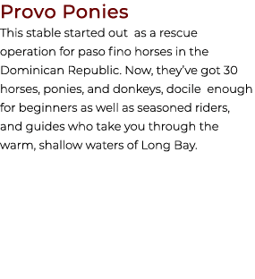 Provo Ponies This stable started out as a rescue operation for paso fino horses in the Dominican Republic. Now, they’...