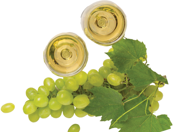 Glasses of white wine and white grape on wooden table top view. Wine composition with copy space for design.