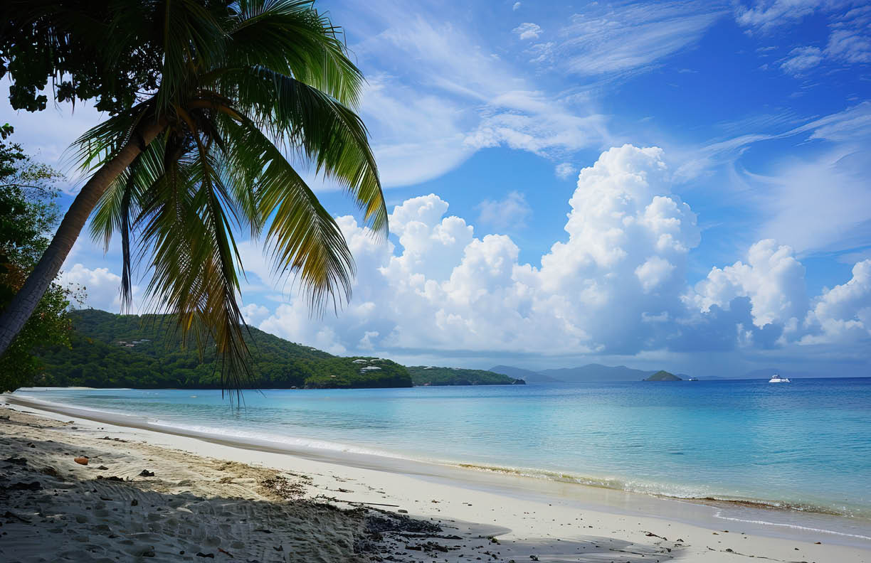 Paradise Found Magens Bay Beach, St. Thomas, USVI