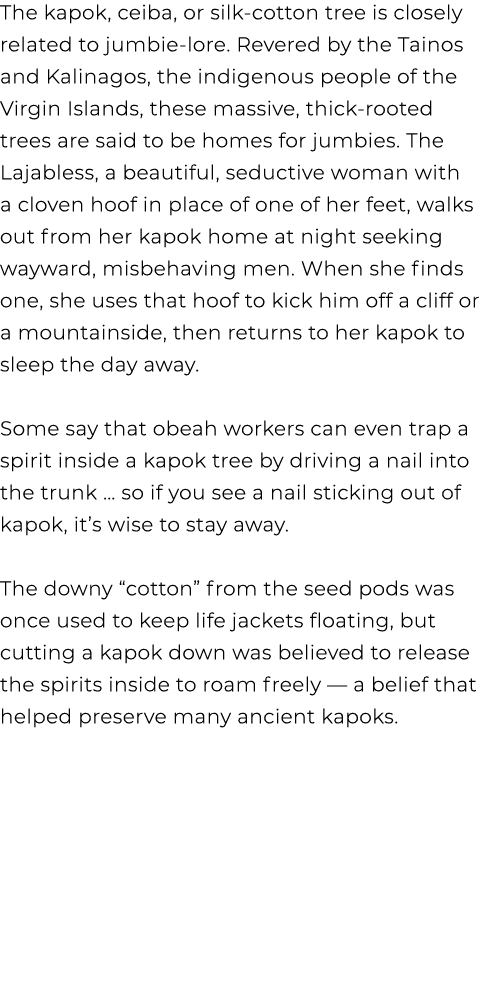 The kapok, ceiba, or silk cotton tree is closely related to jumbie lore. Revered by the Tainos and Kalinagos, the ind...