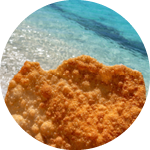 Johnnys cake or yaniqueque, a fry bread made in the Dominican Republic, in the background a virgin beach