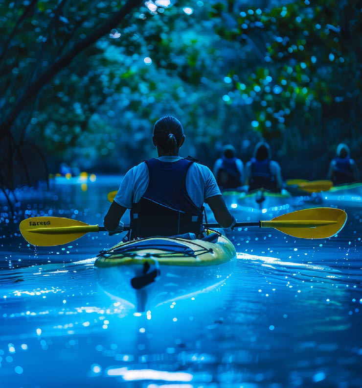 Adventurers paddle through bioluminescent waters at night, surrounded by dense foliage in a vibrant tropical rainforest. The serene atmosphere enhances this unique experience.