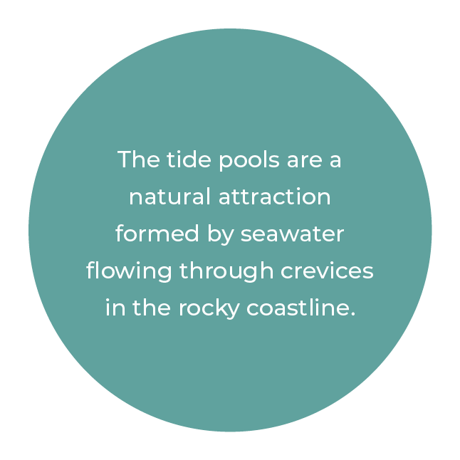 The tide pools are a natural attraction formed by seawater flowing through crevices in the rocky coastline.