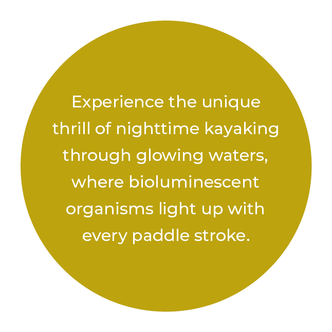 Experience the unique thrill of nighttime kayaking through glowing waters, where bioluminescent organisms light up wi...