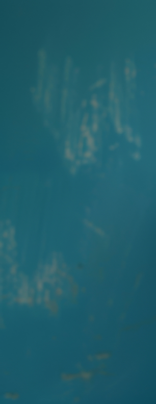 A woman wearing a colorful scarf and a ring with a large stone in the middle of it. She is looking down at the camera