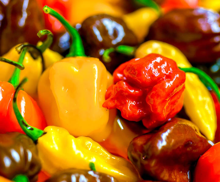 Different variety of hot peppers - a bunch of chilies. Hot pepper Sarit Gat, Red Cherry, Cayenne, Serrano, Caribbean Habanero Orange, Jalapeno, Fatalii Yellow, Trinidad Scorpion Moruga and chili.