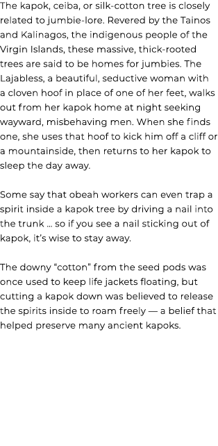 The kapok, ceiba, or silk cotton tree is closely related to jumbie lore. Revered by the Tainos and Kalinagos, the ind...