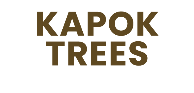 Kapok trees