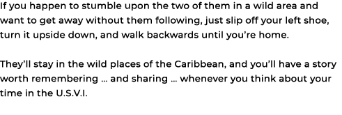 If you happen to stumble upon the two of them in a wild area and want to get away without them following, just slip o...