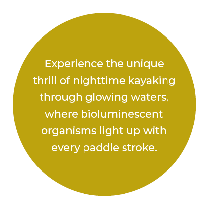 Experience the unique thrill of nighttime kayaking through glowing waters, where bioluminescent organisms light up wi...