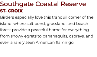 Southgate Coastal Reserve St. Croix Birders especially love this tranquil corner of the island, where salt pond, gras...