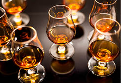 High quality Caribbean rum in modern glass for tasting 