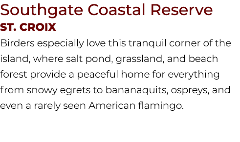 Southgate Coastal Reserve St. Croix Birders especially love this tranquil corner of the island, where salt pond, gras...